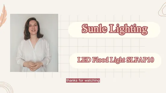 Luce di inondazione a LED 10W 20W 30W 50W 100W 220V Proiettori Lampada da parete IP65 Riflettore bianco impermeabile Faretto per esterni a LED per esterni